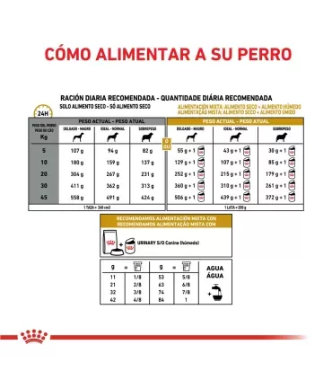 Royal Canin Urinary S/O 10kg | Alimento Perros Salud Urinaria