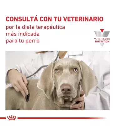 Royal Canin Urinary S/O 10kg | Alimento Perros Salud Urinaria