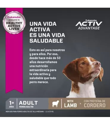 Eukanuba Adulto 15kg | Alimento Premium para Perros Saludables
