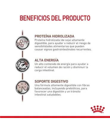 Royal Canin Gastrointestinal | Alimento Gatos Digestión Sensible 2kg