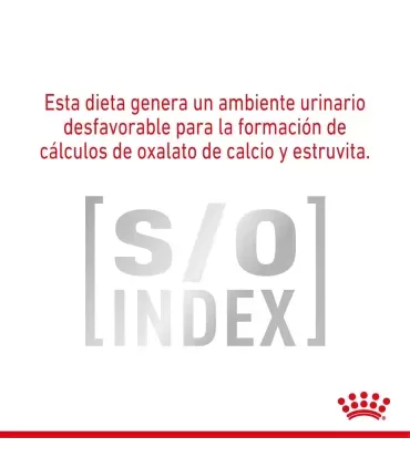 Royal Canin Gastrointestinal | Alimento Gatos Digestión Sensible 2kg