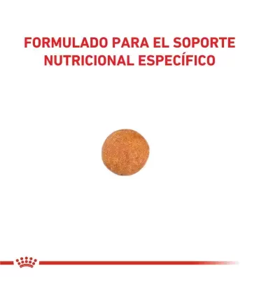 Royal Canin Gastrointestinal Bajo en Calorías | Salud Digestiva Gatos