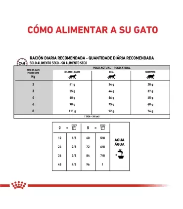 Royal Canin Gastrointestinal Bajo en Calorías | Salud Digestiva Gatos