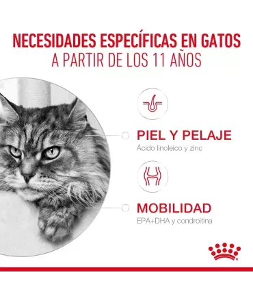 Royal Canin 11+ | Alimento Húmedo para Perros Mayores de 11 Años