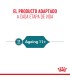 Royal Canin 11+ | Alimento Húmedo para Perros Mayores de 11 Años