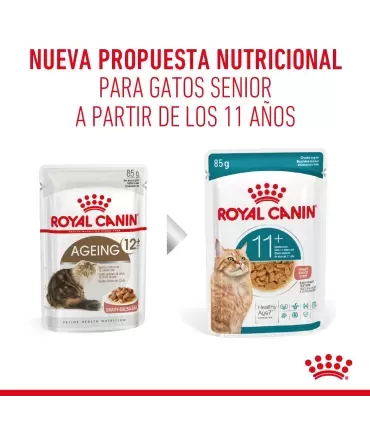 Royal Canin 11+ | Alimento Húmedo para Perros Mayores de 11 Años