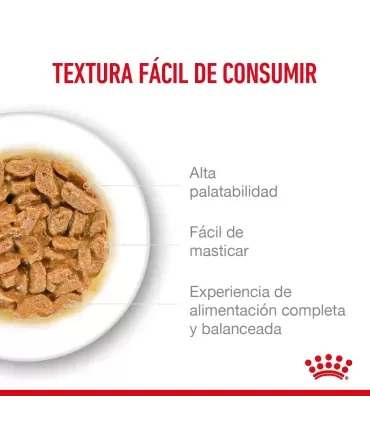 Royal Canin 11+ | Alimento Gatos Mayores Nutrición Especializada