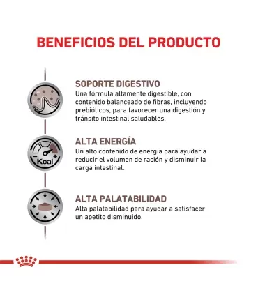 Royal Canin Gastrointestinal | Alimento Gatos Digestión Sensible 2kg