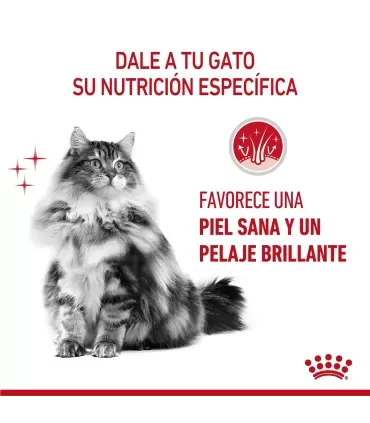 Royal Canin Hair & Skin Pouch 12 x 85g