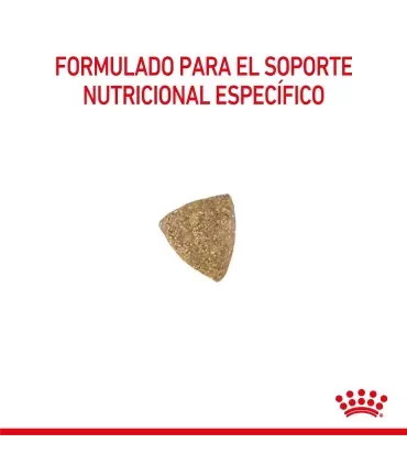 Royal Canin Gastrointestinal | Alimento Gatos Digestión Sensible 2kg