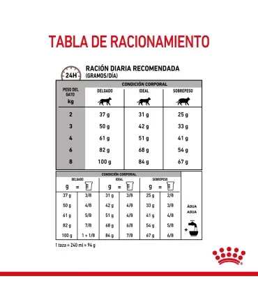 Royal Canin Gastrointestinal | Alimento Gatos Digestión Sensible 2kg