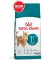 Royal Canin Ageing 11+ Feline 2kg (2 unidades)