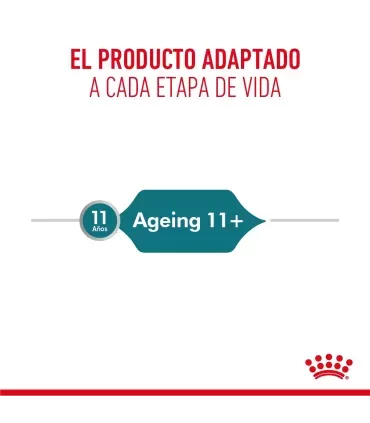 Royal Canin 11+ | Alimento Gatos Mayores Nutrición Especializada