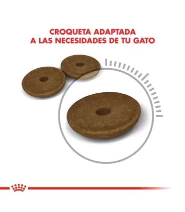 Royal Canin Digestive Care (Digestive Comfort ) 2kg