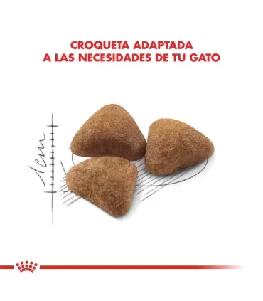 Royal Canin Indoor: Alimento Premium para Gatos de Interior 1.5kg