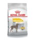 Royal Canin Maxi Dermacomfort