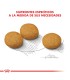 Royal Canin Maxi Dermacomfort 10kg | Cuidado Piel Perros Grandes