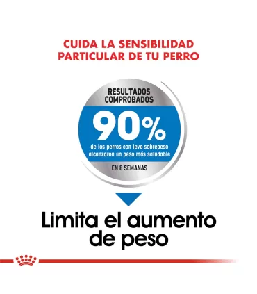 Royal Canin Maxi Weight Care 10kg | Alimento Control Peso Perros