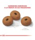Royal Canin Maxi Weight Care 10kg | Alimento Control Peso Perros