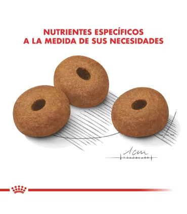 Royal Canin Maxi Weight Care 10kg | Alimento Control Peso Perros