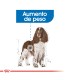 Royal Canin Medium Weight Care 10kg | Alimento Control Peso Perros