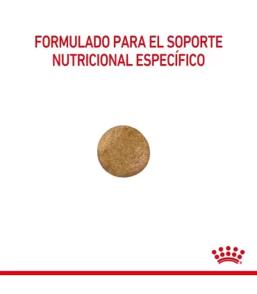 Royal Canin Anallergenic Feline 1.5kg para gatos con alergias severas
