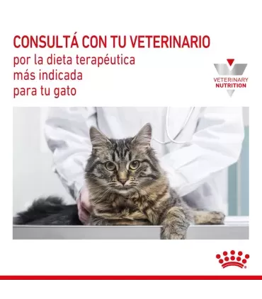 Royal Canin Anallergenic Feline 1.5kg para gatos con alergias severas