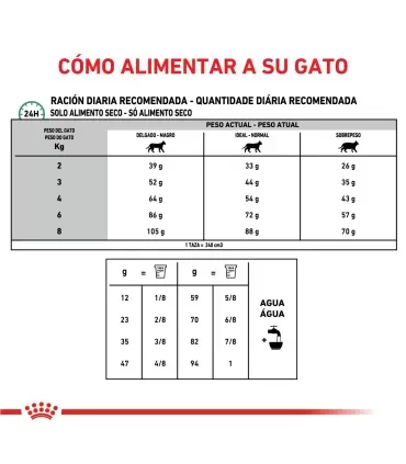 Royal Canin Diabetic | Alimento Especial para Gatos Diabéticos 1.5kg