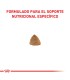 Royal Canin Gastrointestinal | Alimento Gatos Digestión Sensible 2kg