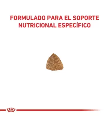 Royal Canin Gastrointestinal | Alimento Gatos Digestión Sensible 2kg