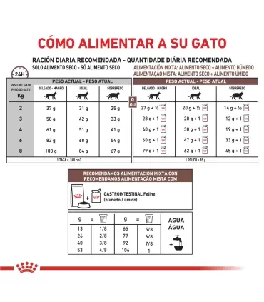 Royal Canin Gastrointestinal | Alimento Gatos Digestión Sensible 2kg