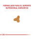 Royal Canin Gastrointestinal | Alimento Gatos Digestión Sensible 2kg