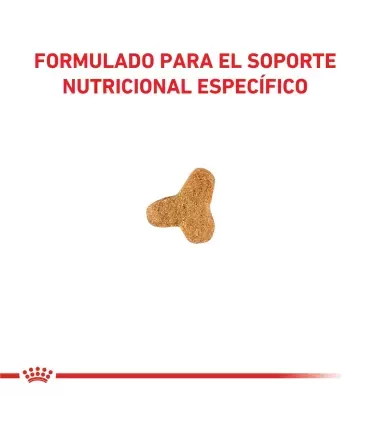 Royal Canin Gastrointestinal | Alimento Gatos Digestión Sensible 2kg