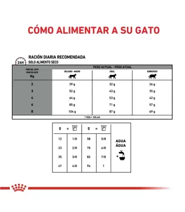 Royal Canin Gastrointestinal | Alimento Gatos Digestión Sensible 2kg