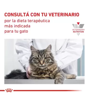 Royal Canin Gastrointestinal | Alimento Gatos Digestión Sensible 2kg