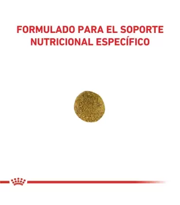 Royal Canin Satiety: Control de Peso Gatos | Dieta Adelgazante 1.5kg