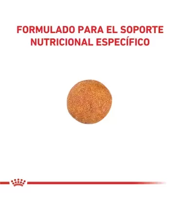Royal Canin Urinary S/O | Alimento Gatos Salud Urinaria 7.5kg