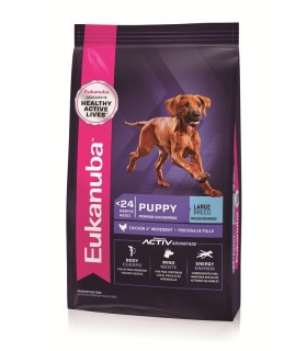 Eukanuba Puppy Large Breed