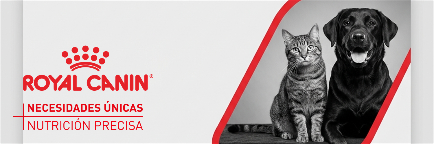 banner royal canin